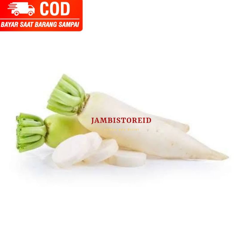 

(JAMBISTOREID) PILIH PENGIRIMAN INSTAN Sayur Lobak Putih 1Pcs Acar Korea Cina Import Jambi