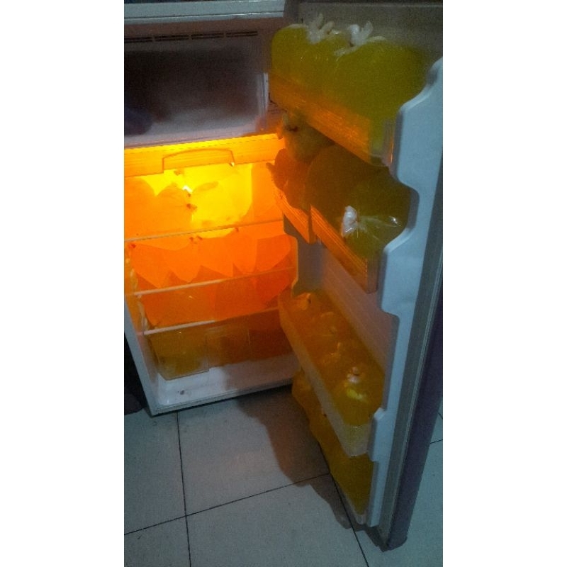 

putih telur ayam eropa