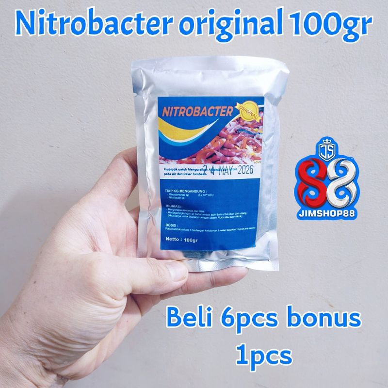 Probiotik Ikan Nitrobacter 100 Gram untuk Menurunkan Amonia dan Menjaga Kualitas Air Kolam