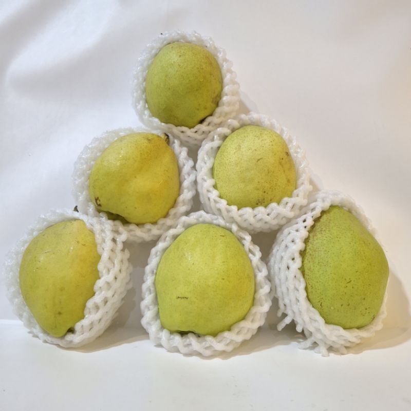 

Pear Xianglie
