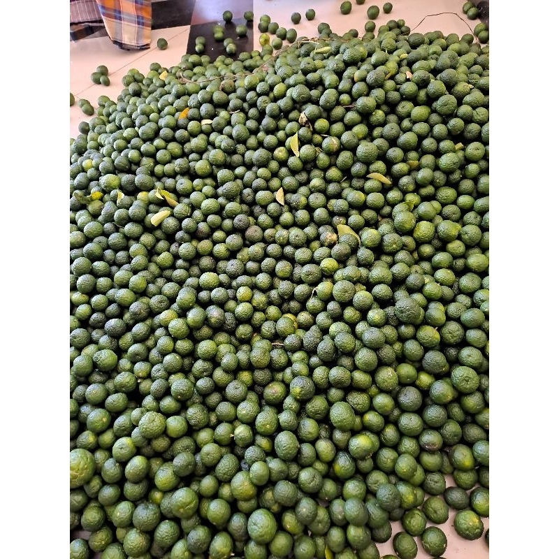

Asam Kasturi Asli Sumbar dipetik langsung Dari Kebun 1 Kg