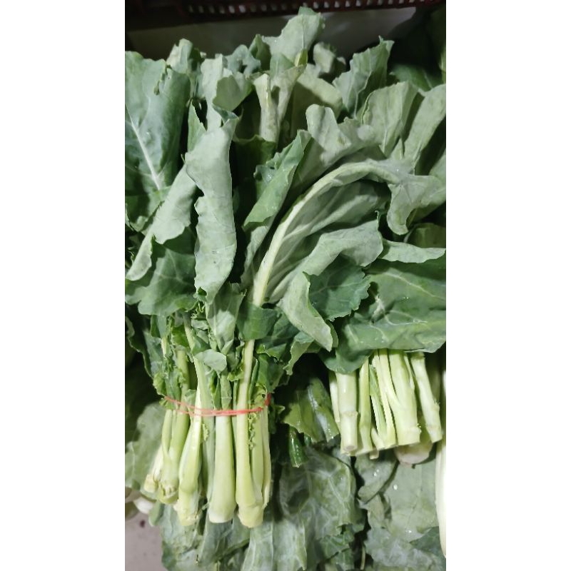 

sayur kailan 250gram