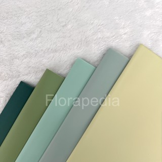 

(PER PACK) Flower Wrapping Paper Transparan / Kertas Buket Bunga / Cellophane Pastel Color Premium Hijau Biru Pastel