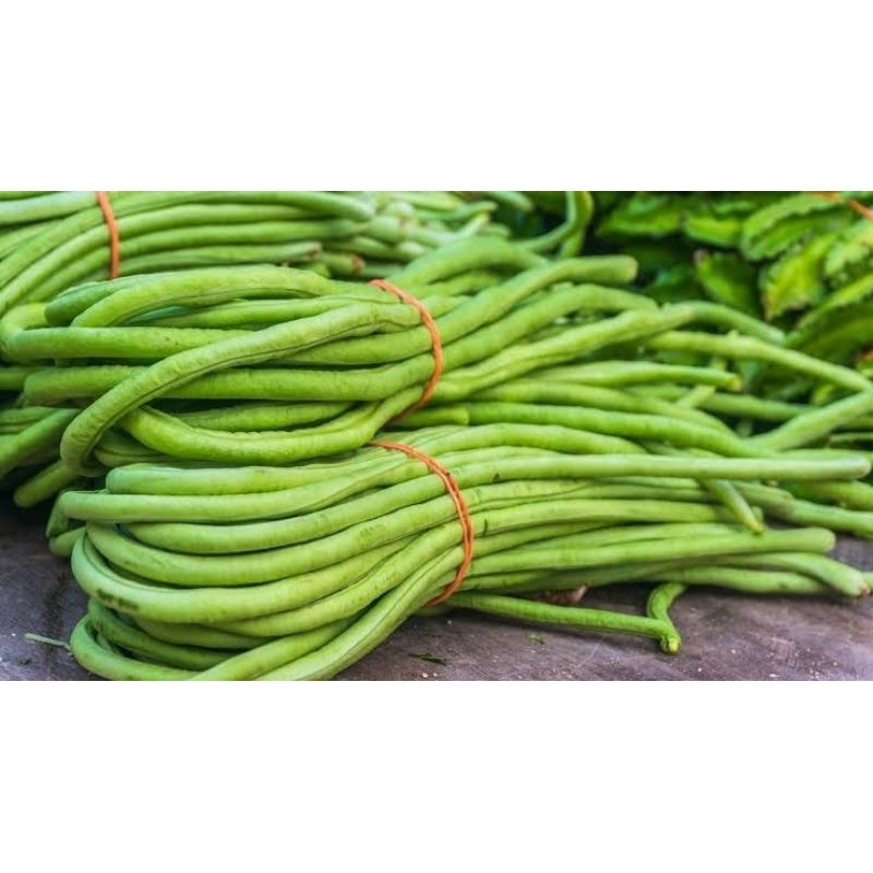 

Kacang Panjang Segar 1Ikat Pasar Murah Makassar