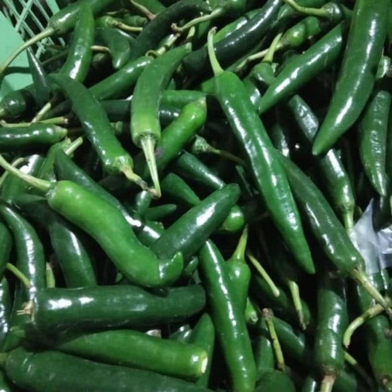 

Cabai ijo besar 500 gram Fresh
