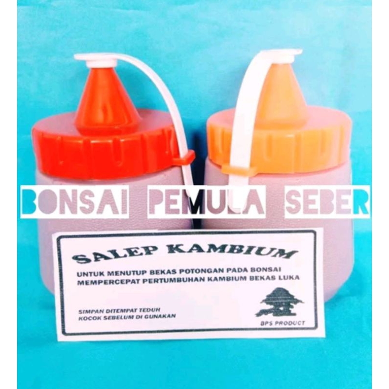 Salep Kambium Bonsai - Salep Kambium Lokal Alat Bonsai