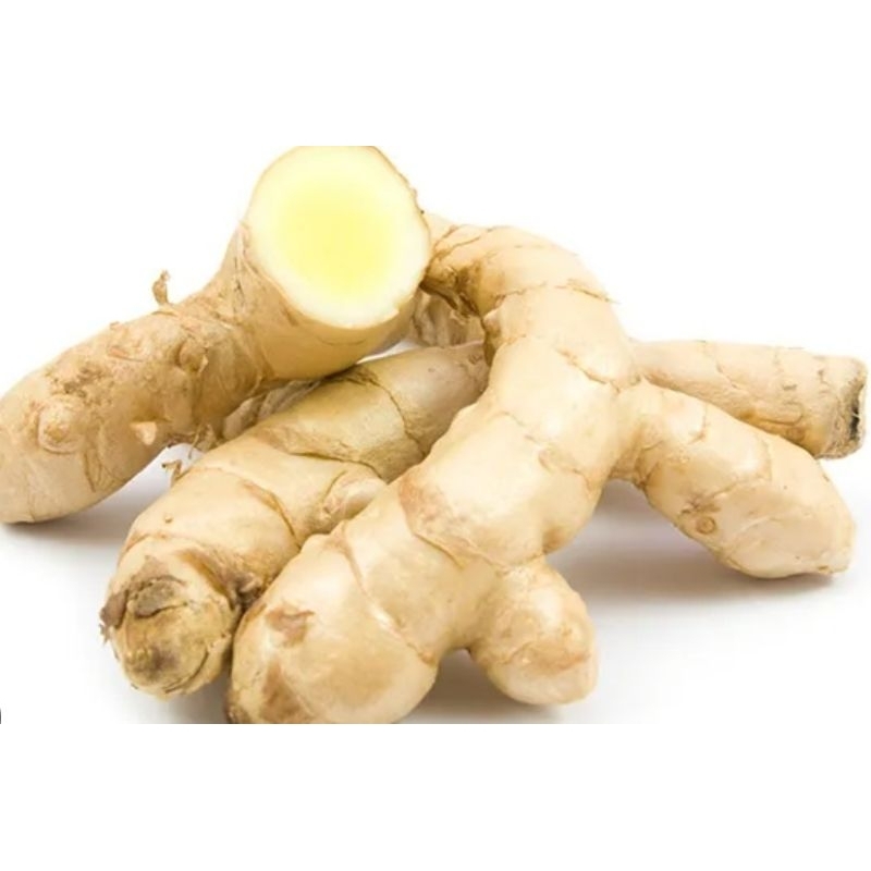 

kunyit Putih / Temu putih 1kg