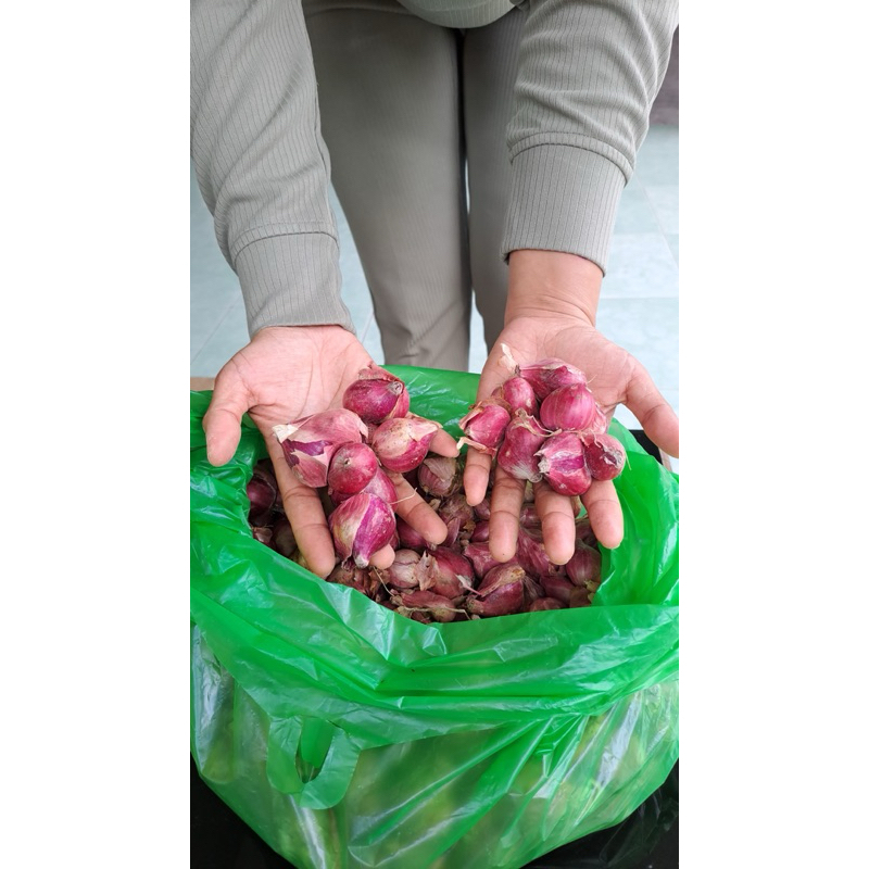 

bawang merah super 500gr