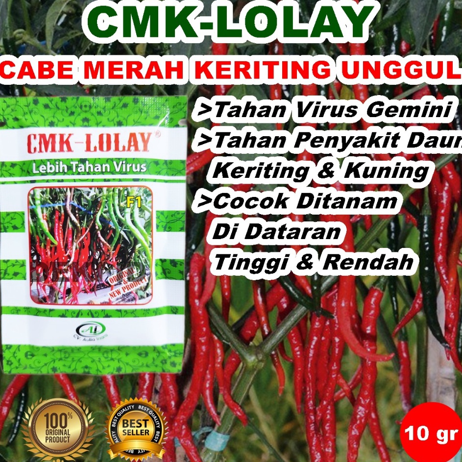 berkualitas Benih Cabe CMK Lolay 1 Gram Bibit Cabai Merah Keriting