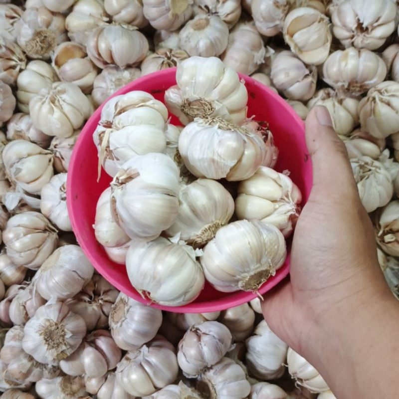 

Bawang putih kecil import 1 kg (BERSIH)