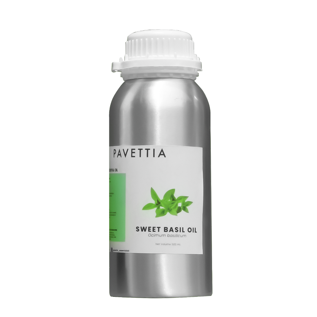 500 ml - Minyak atsiri selasih / sweet basil essential oil (Ocimum basilicum)