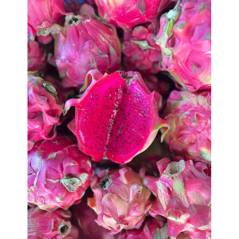 

Buah Naga Merah | Buah Naga Grade Premium| Buah Naga Manis