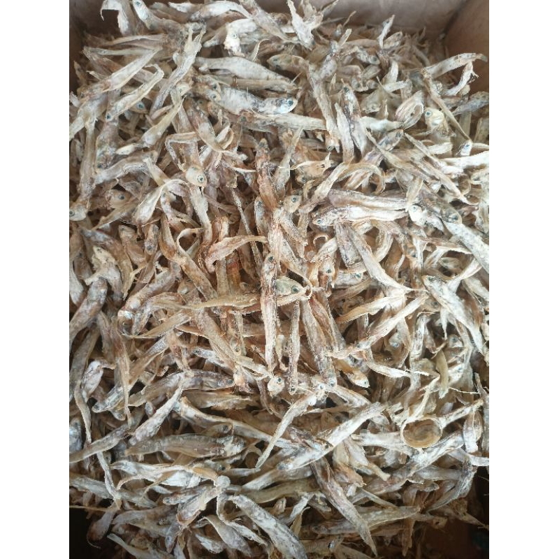

Teri tawar tipis