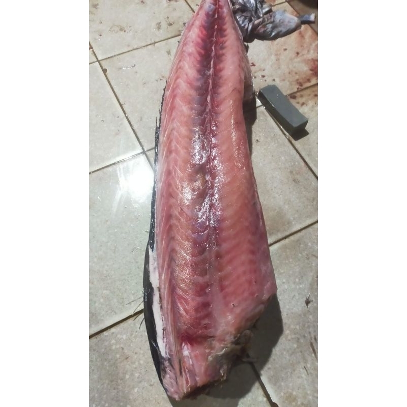

marline filet 1 kg