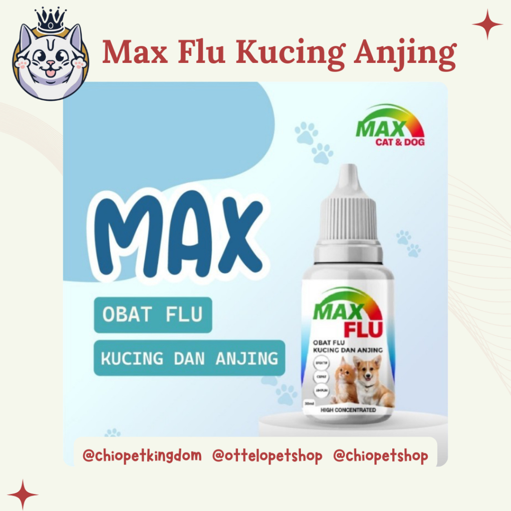 Max Flu Obat Flu Batuk Pilek Kucing Anjing / Obat Batuk Kucing Anjing