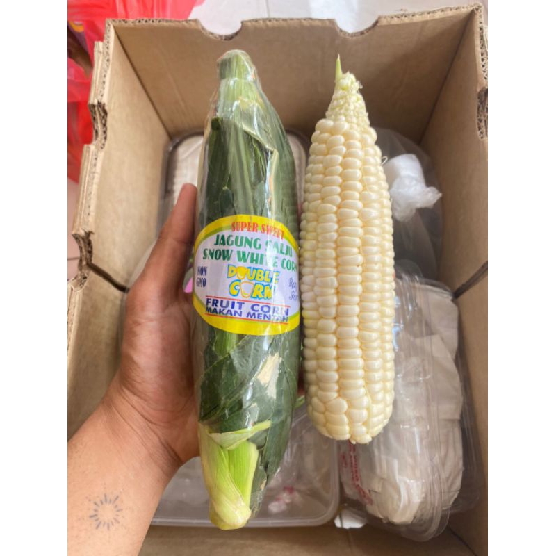 

Jagung Salju Snow White Super Manis | Jagung Putih Makan Mentah | Jagung Double Corn | Pcs