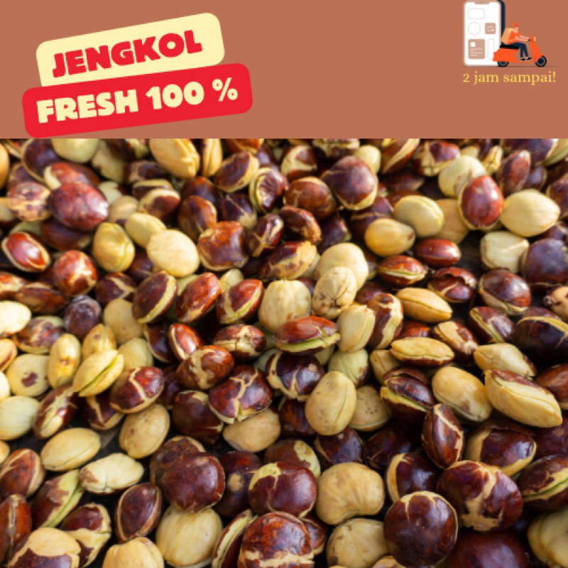 

Jengkol Fresh 500Gram Sayuran KIRIM INSTAN BANDUNG