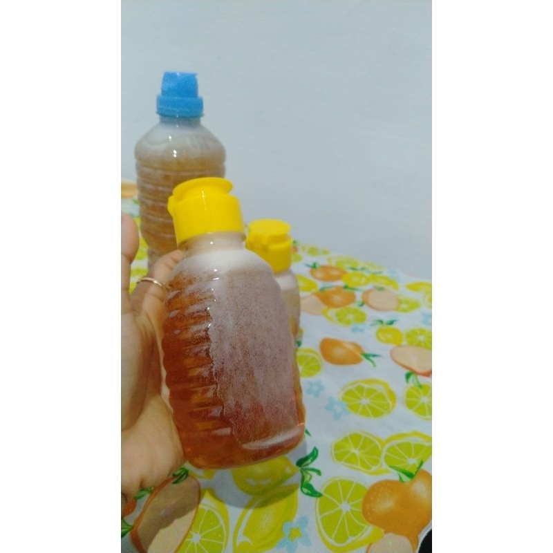 

MADU MURNI | LEBAH LOKAL (APIS CERANA) 100/100ML