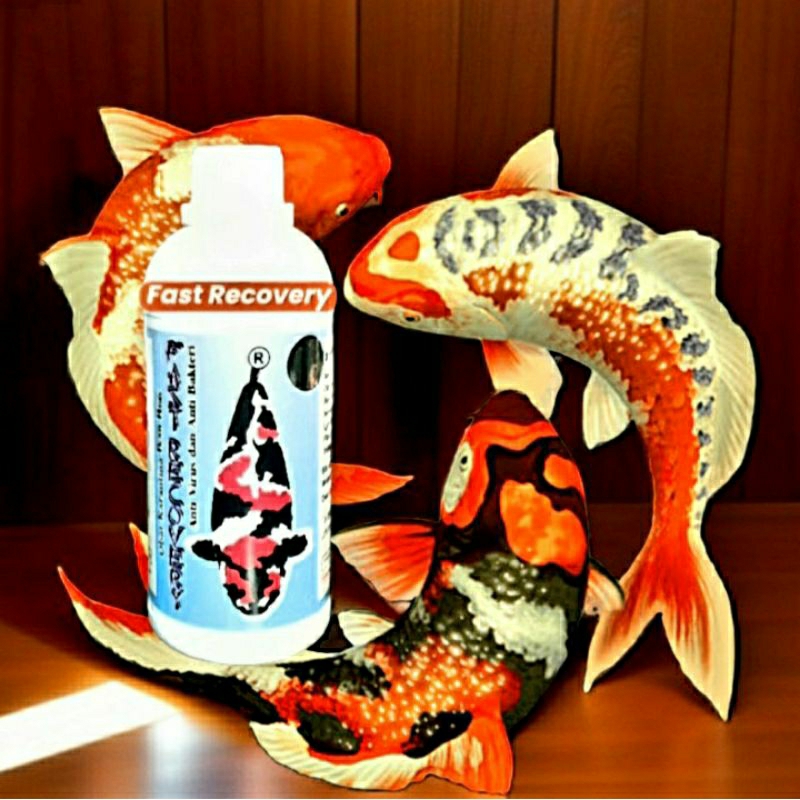 OBAT IKAN KOI FAST RECOVERY 500ML | ANTI VIRUS & BAKTERI IKAN | PEMBASMI SEGALA PENYAKIT IKAN | AERO