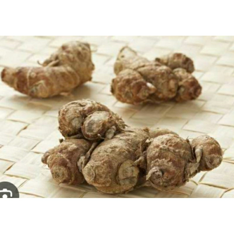 

promo 500gram kencur herbal alami