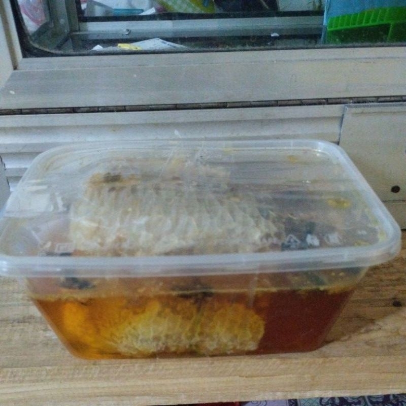 

Madu Sarang