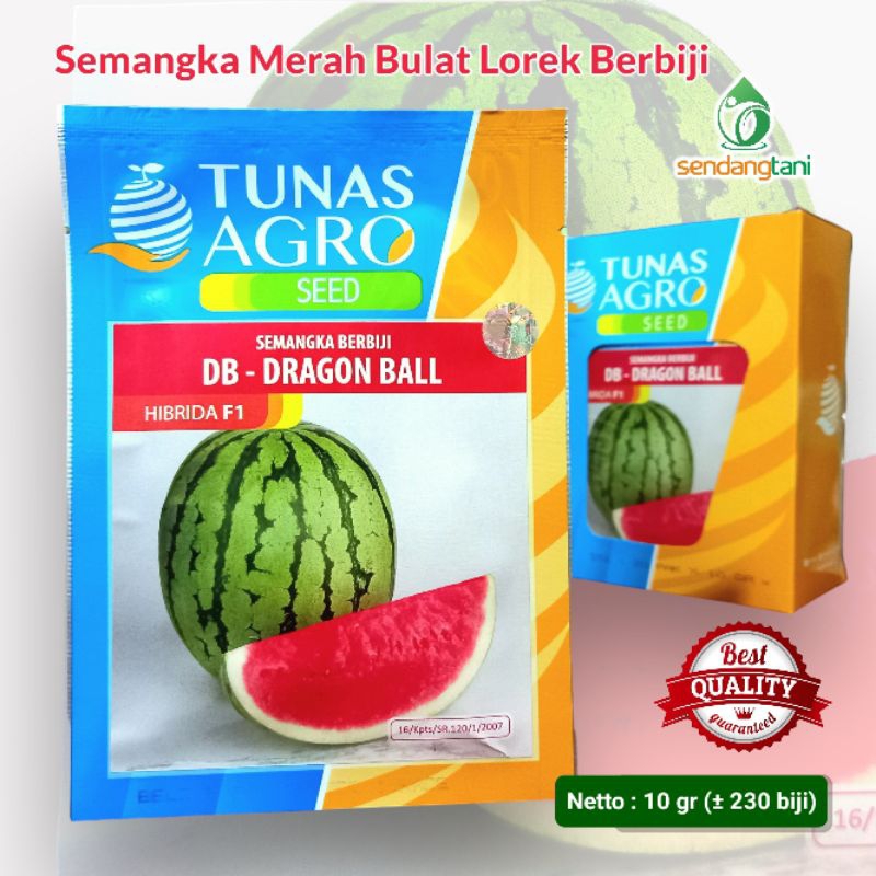 Semangka DRAGON BALL F1 10 gr Benih Bibit Lorek Bulat Merah Berbiji Hibrida Cap Tunas Agro Seed