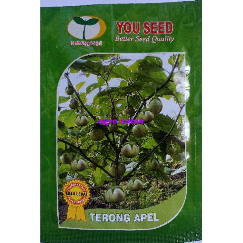 Benih terong buah lalap TERONG APEL isi 10 gram dari You seed