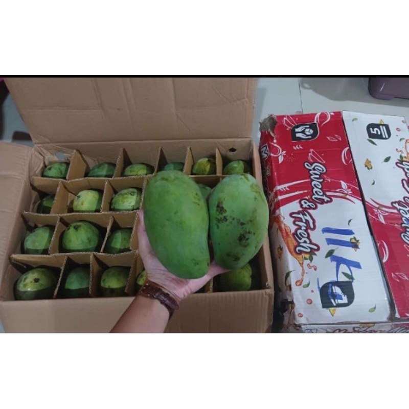 

Fresh Mangga Alpukat