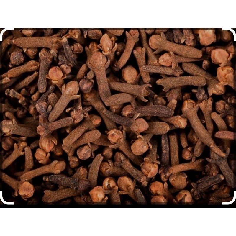 

siap kirim cengkeh kering asli pengunungan watulimo 1000gram(1kg)