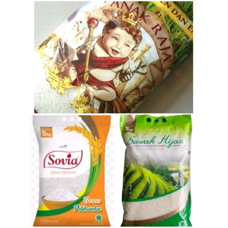 

BERAS PREMIUM PULEN ENAK KEMASAN 5 KG