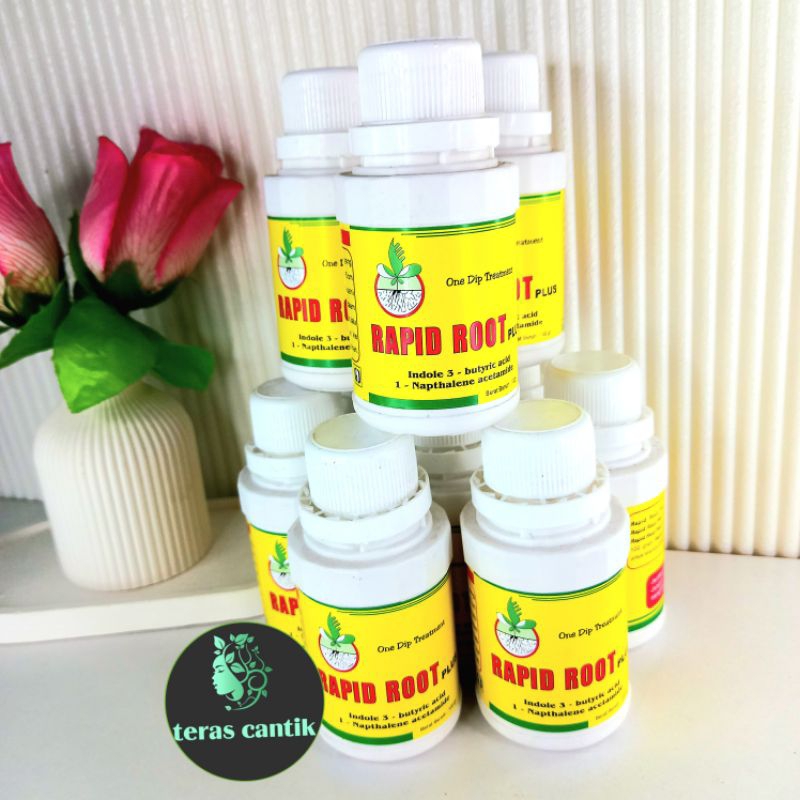 Perangsang akar Rapid Root