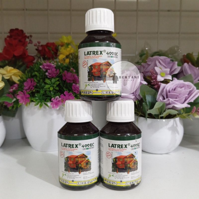 Latrex Obat Insektisida | Dapat Digunakan Untuk Rayap Pada Kayu 100 ml
