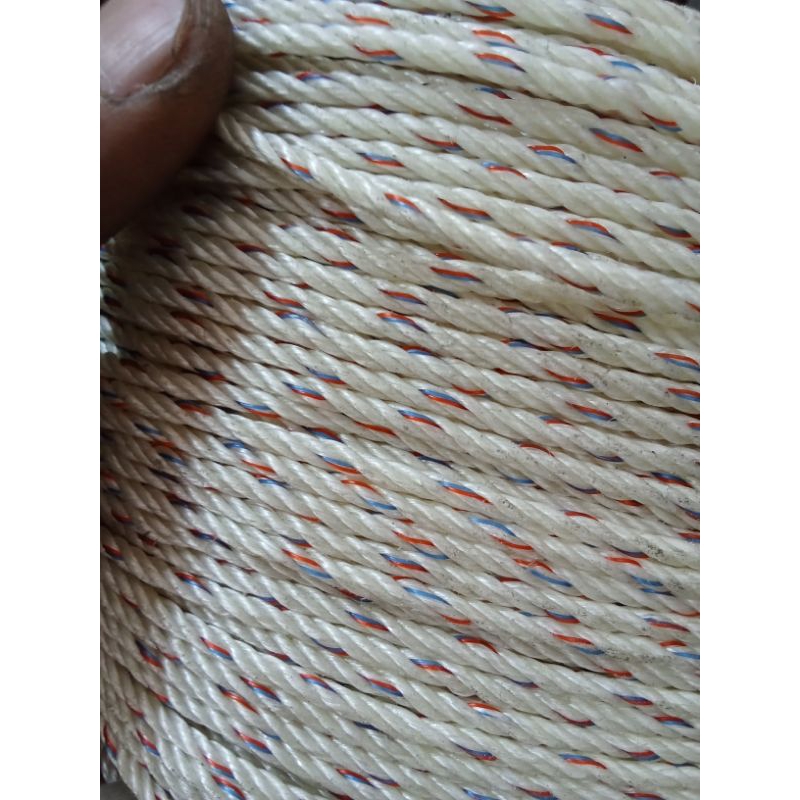 

tali PPQ 3mm merah strep biru