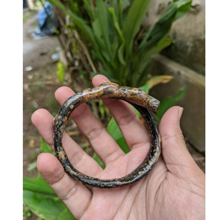 gelang akar bahar hitam berbatu minimalis
