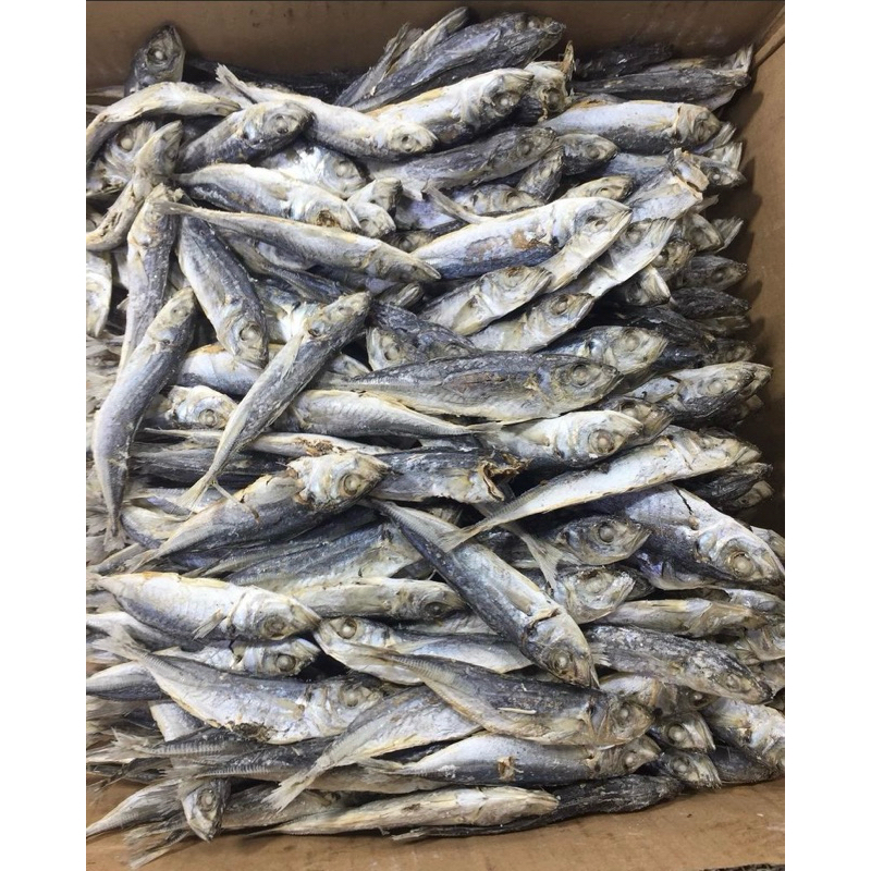 

ikan asin dencis besar dan kecill