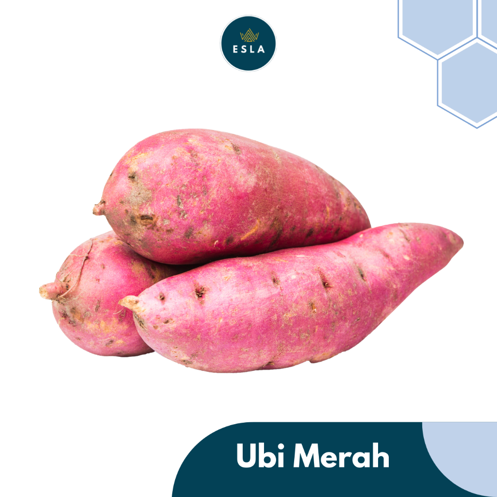 

UBI MERAH I Buah Fresh dan Premium - ESLA