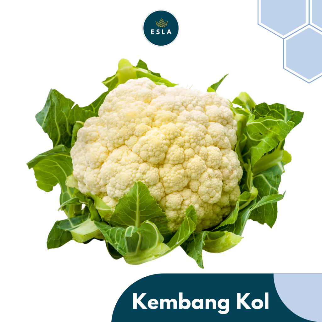 

KEMBANG KOL 1 KgI Sayur Fresh dan Premium - ESLA