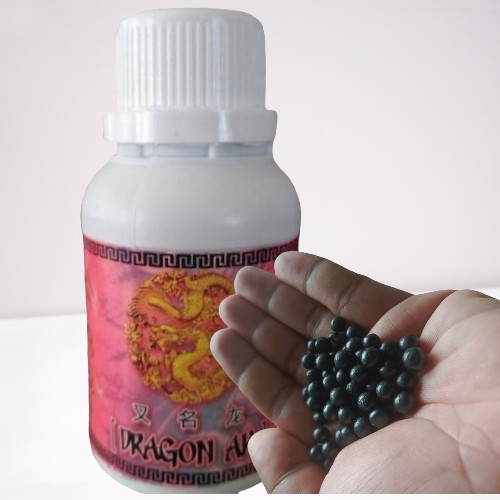 70 pill Dragon AK / jamu ayam Dragon AK / kamlang Dragon AK/ jamu rawatan ayam / kamlang ayam laga /