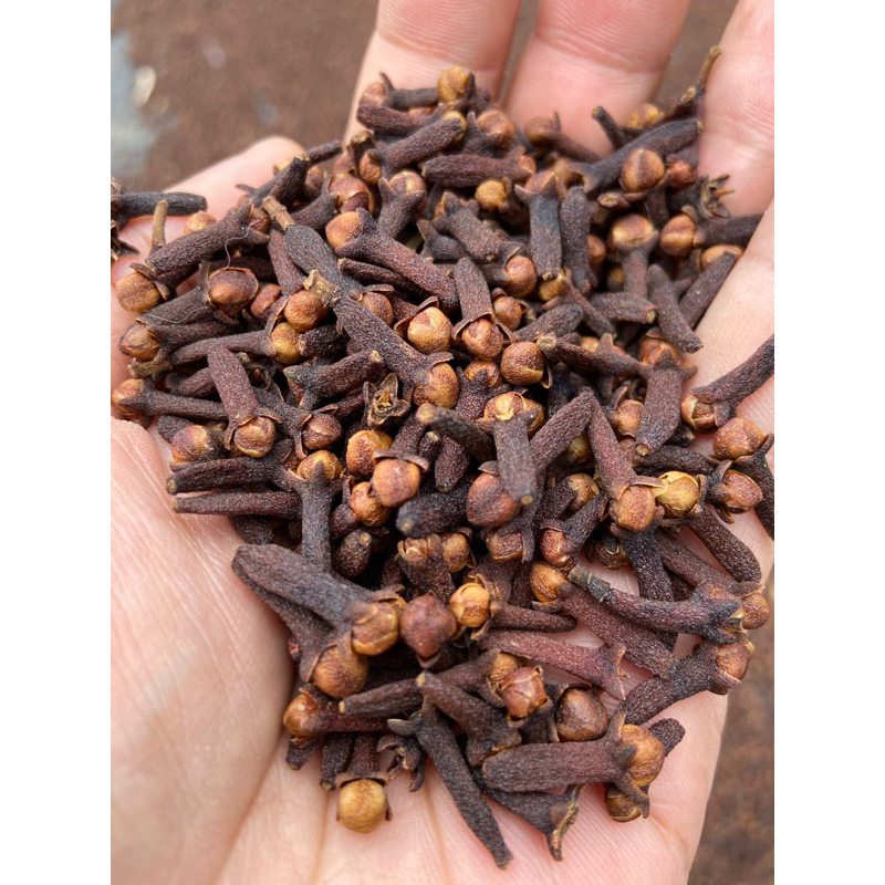 

CENGKEH BALI PREMIUM 500g
