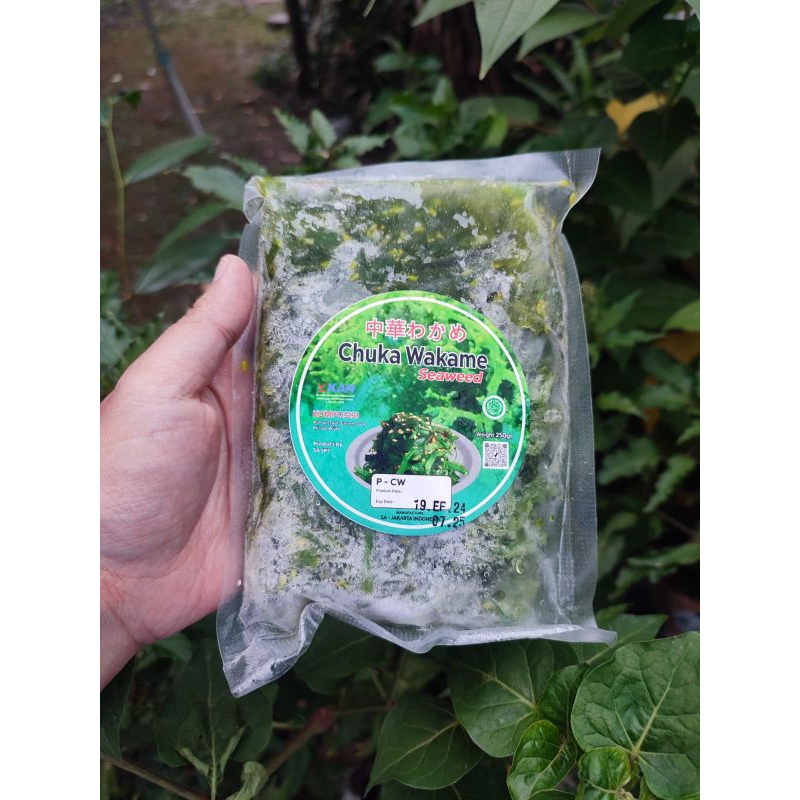

Chuka Wakame Share Size 250gr / Salad Rumput Laut