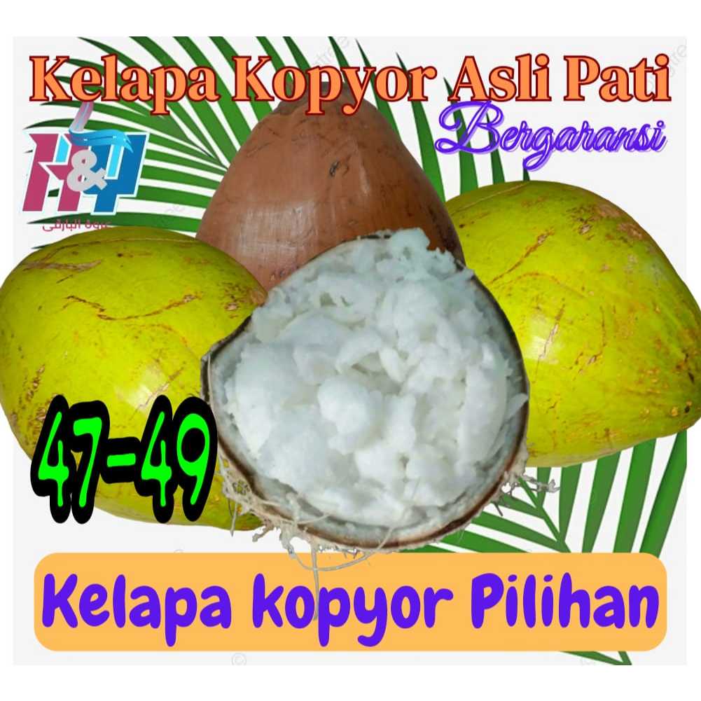 

Kelapa Kopyor [size : 47-49] Asli Pati isi tebal.