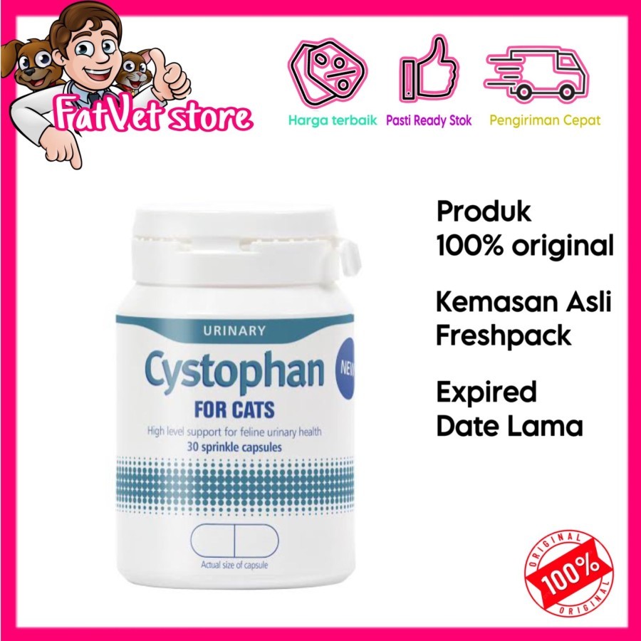 Cystophan obat saluran kencing urinary kucing mirip cystaid original 15capsule