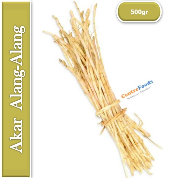 

Akar Alang Alang - Ilalang Fresh | 500gr [ Harga Per 0,5 Kg ]