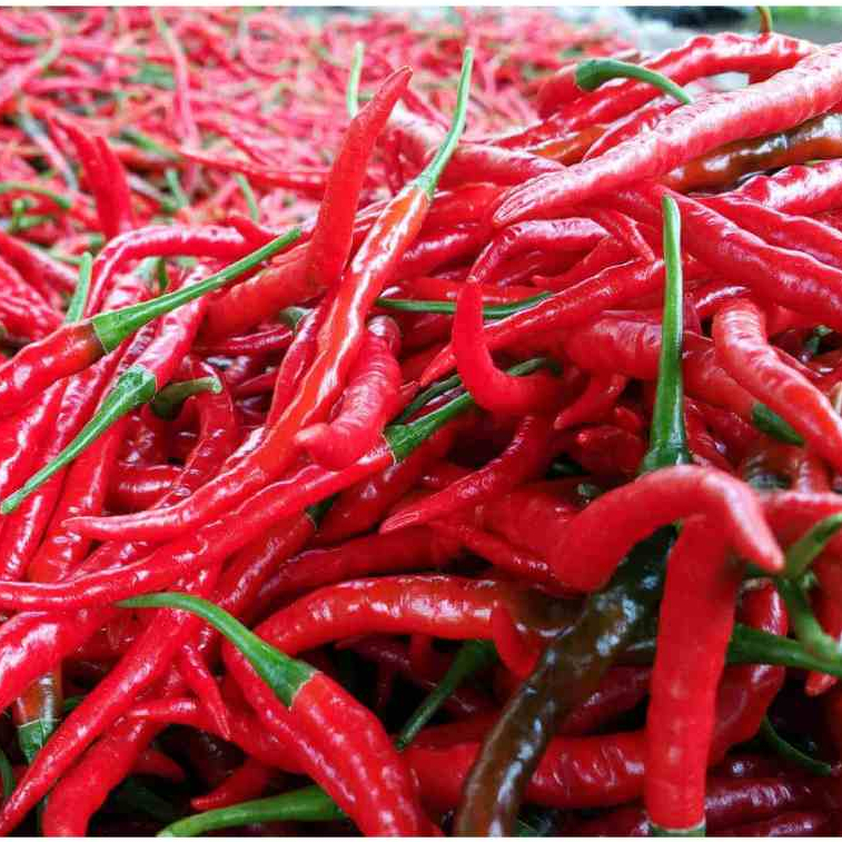 

Cabai Merah Keritinng 500 gr fresh