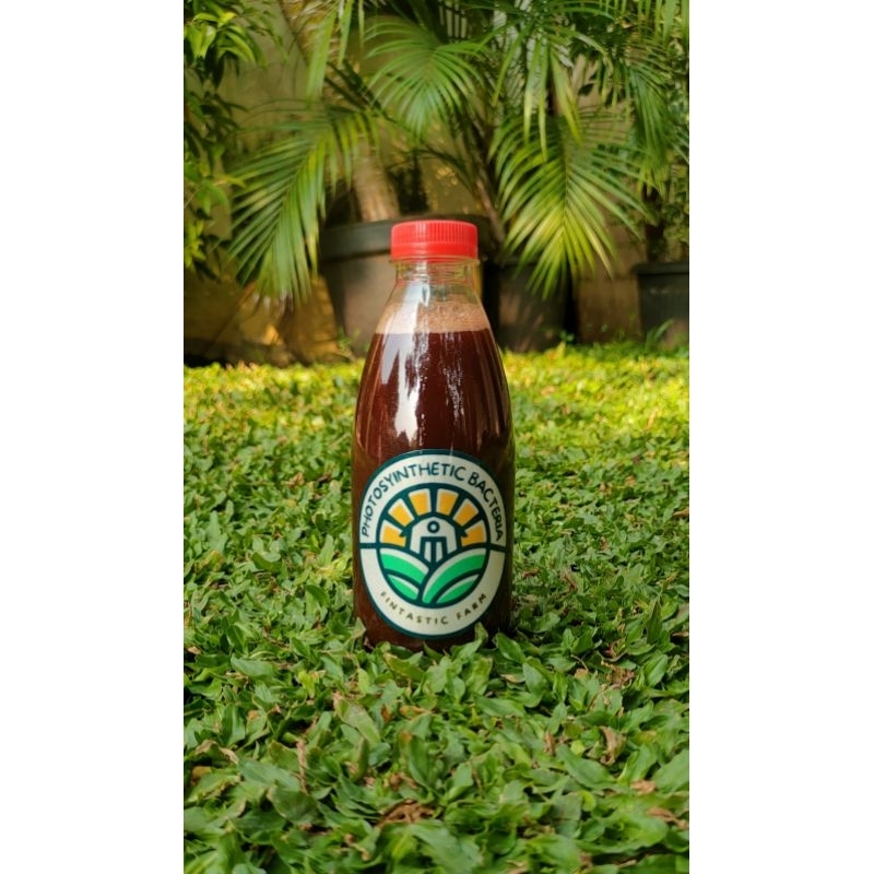 Photosynthetic Bacteria (PSB) 350ml