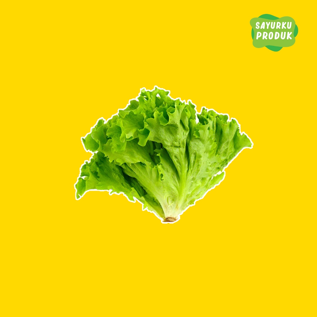

Selada Keriting / lettuce 250gr
