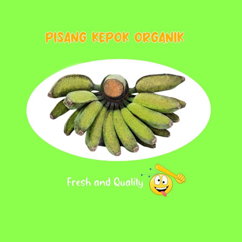 

Pisang Kepok Organik / Sisir