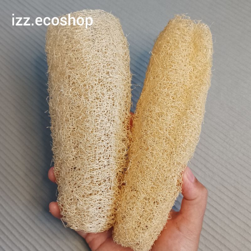 loofah, serat oyong, gambas, spons cuci piring, spons mandi