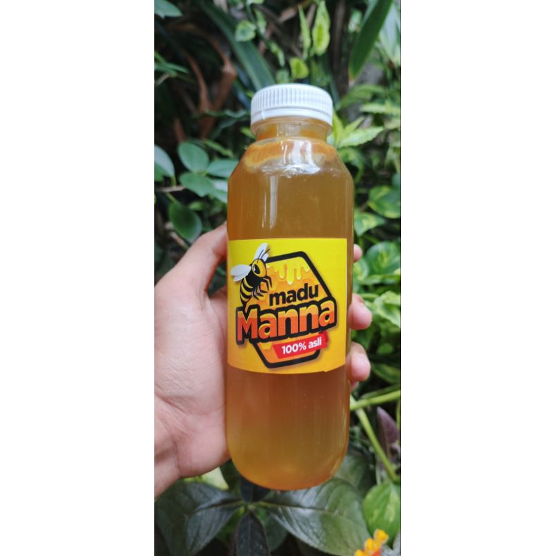 

Madu hutan murni asli dari jenis lebah apis dorsata