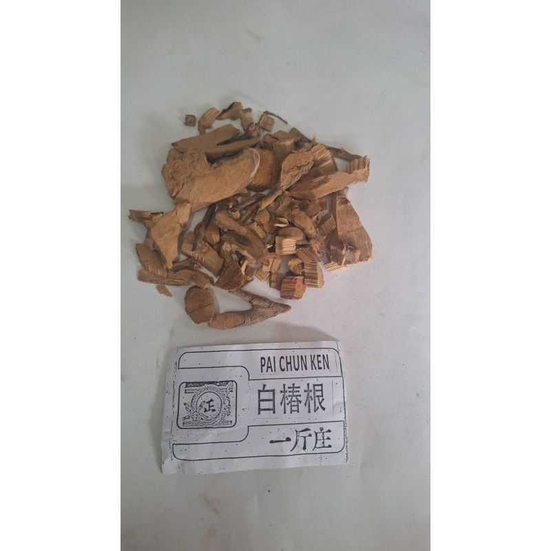 

10 G 50 GR 100 GRAM BAI CHUN GEN 白椿根 ECDYSANTHERA ROSEA HOOK
